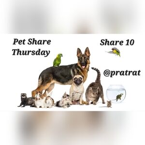 Sign Up Thur 9/17🐾Pet Share🐾Share 10🐾